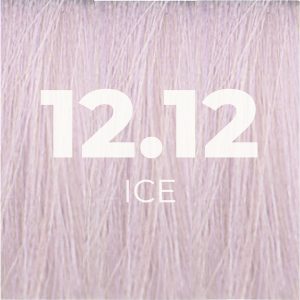 12.12_ICE