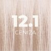 12.1_CENIZA