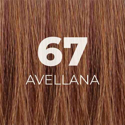 67_AVELLANA
