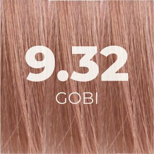 9.32_RUBIO IRISÉ_GOBI