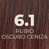 6.1_RUBIO_OSCURO_CENIZA