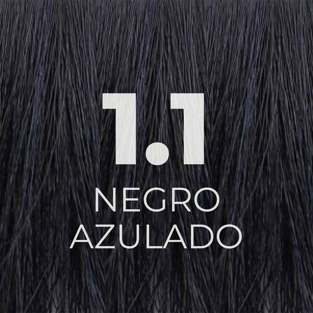 1.1 Negro_azulado
