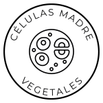 CELULAS_MADRE