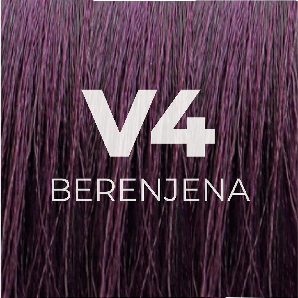 V4_BERENJENA