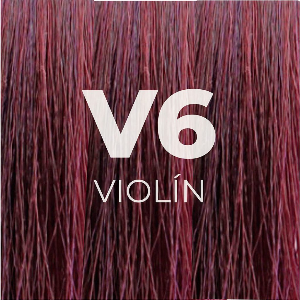 V6_VIOLÍN