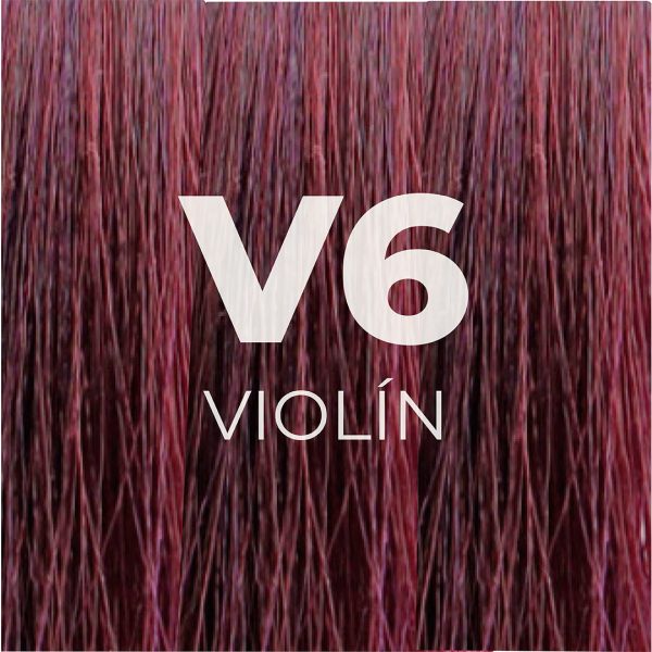 V6_VIOLÍN