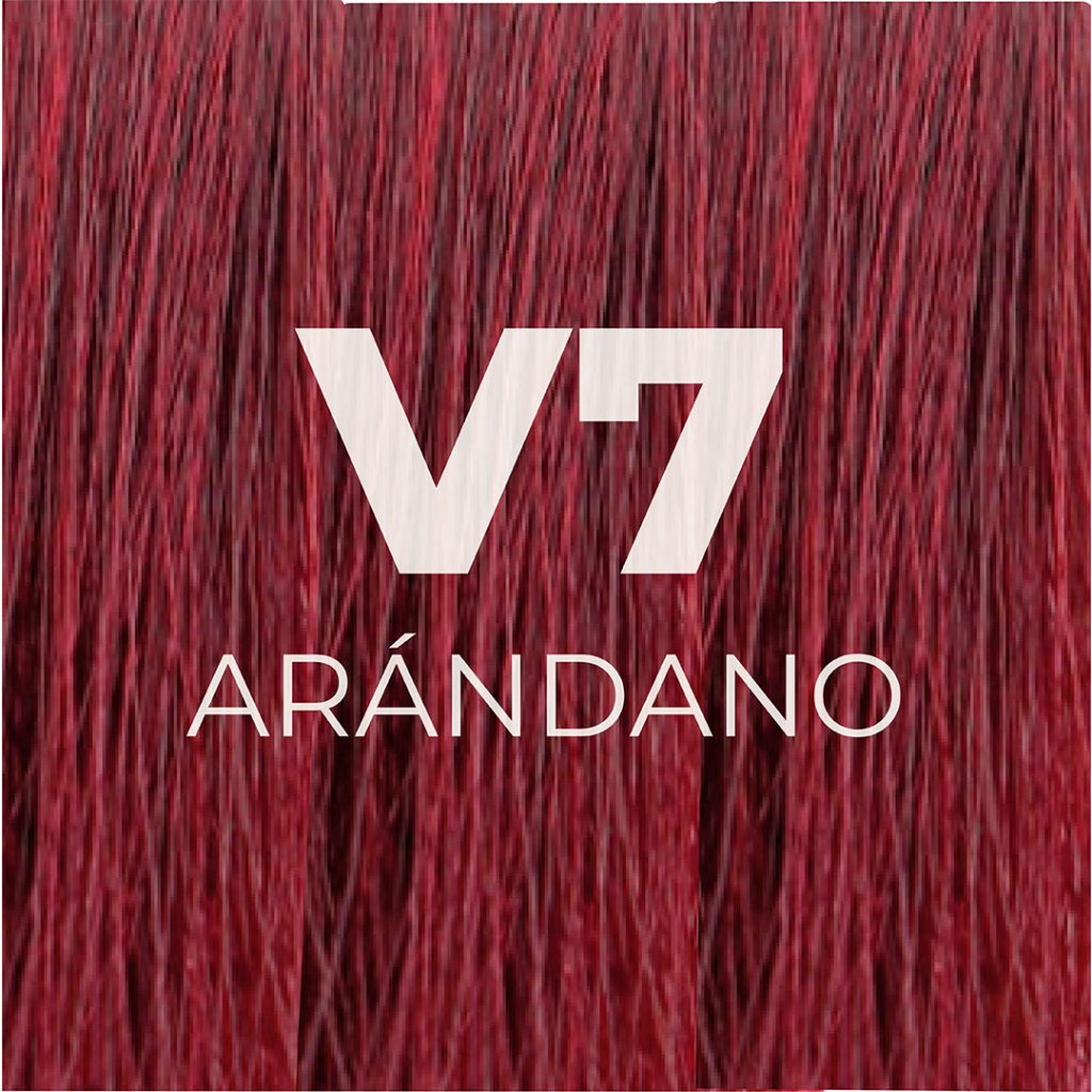 V7_ARANDANO