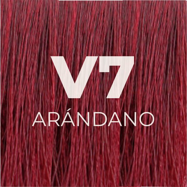 V7_ARANDANO