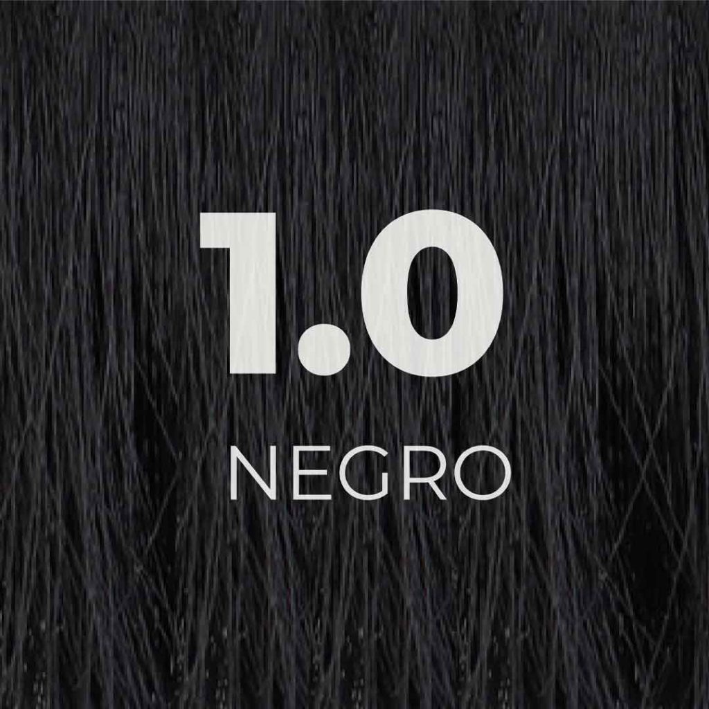 1.0 NEGRO