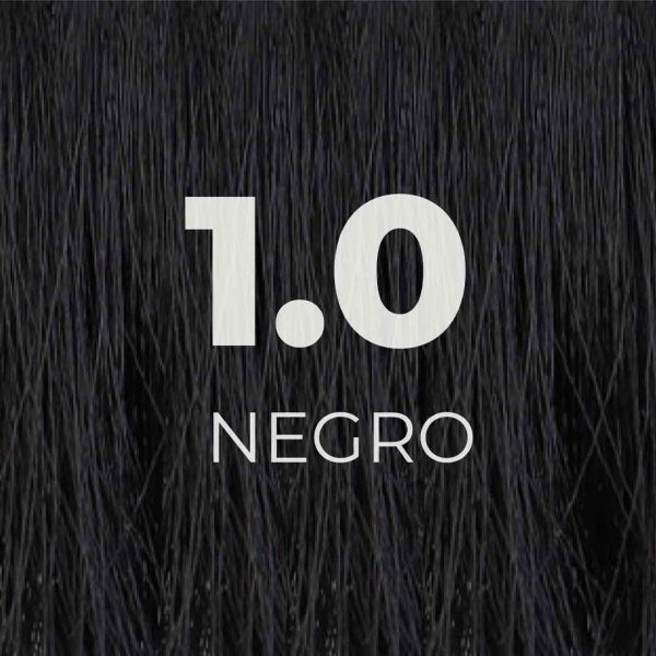 1.0 NEGRO