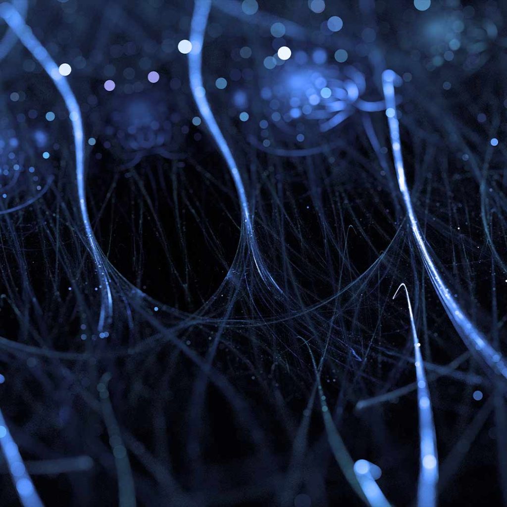neurocosmetica capilar emocional