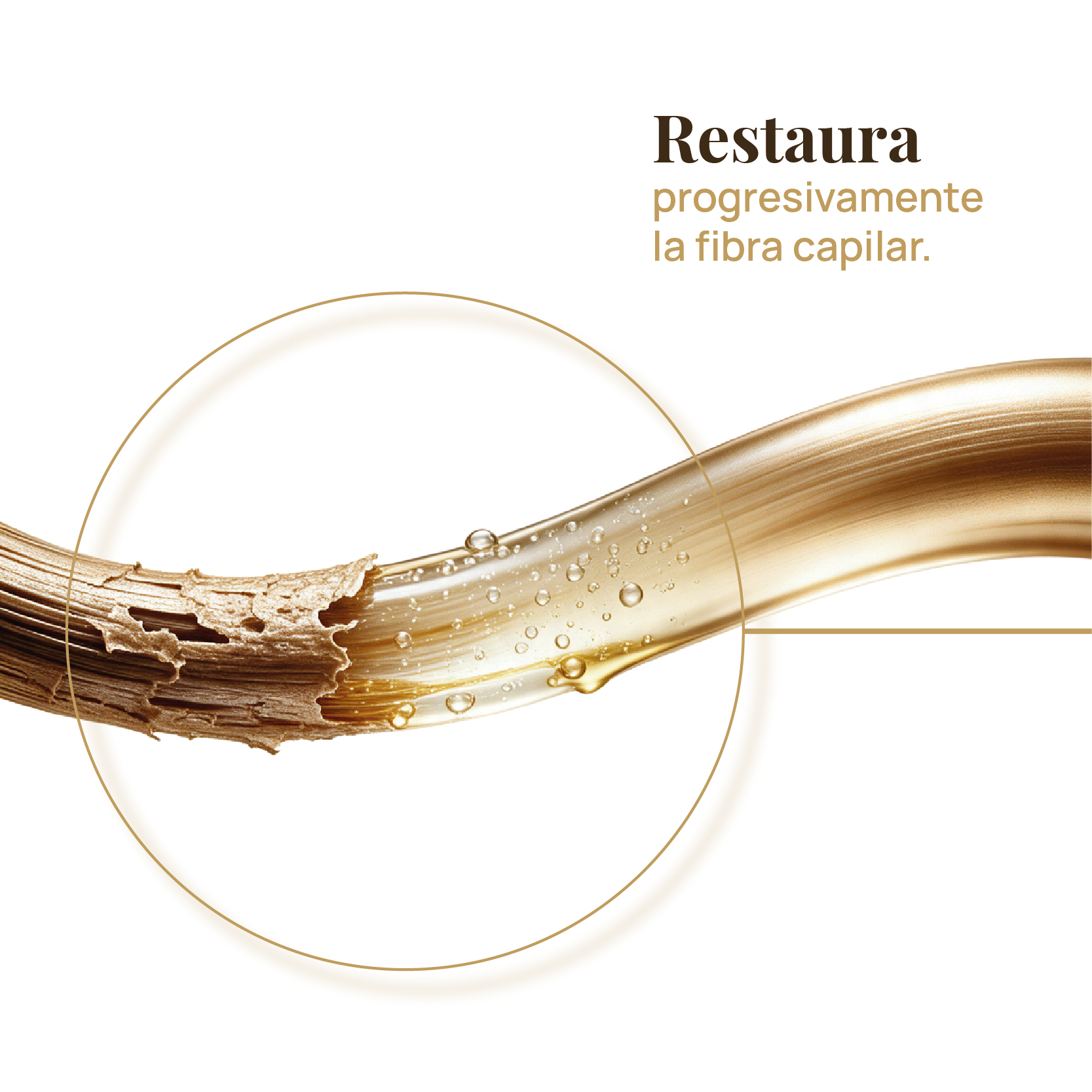 Esencia Restauradora para Cabello Dañado, Frágil o Castigado - Imagen 3