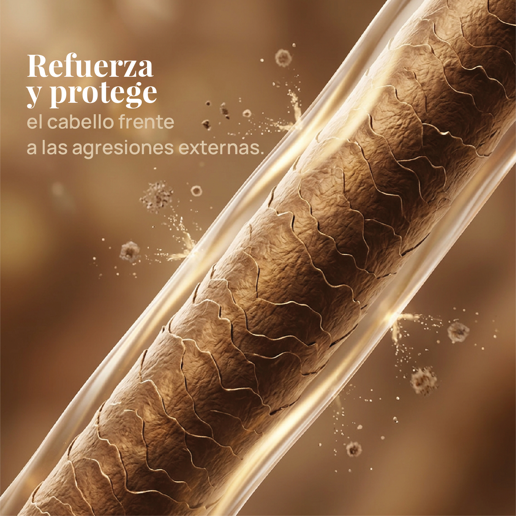 Esencia Restauradora para Cabello Dañado, Frágil o Castigado - Imagen 4