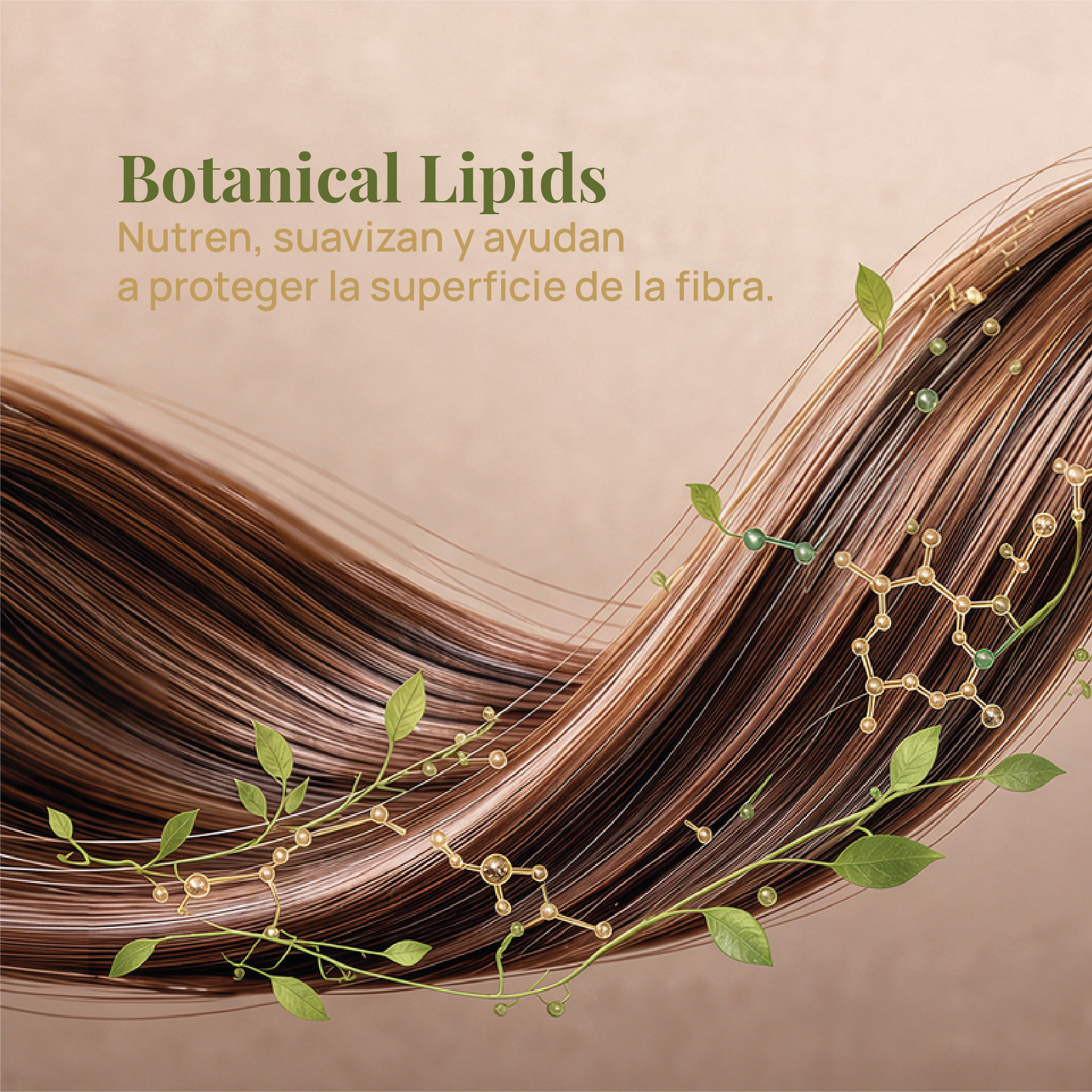 Esencia Restauradora para Cabello Dañado, Frágil o Castigado - Imagen 10